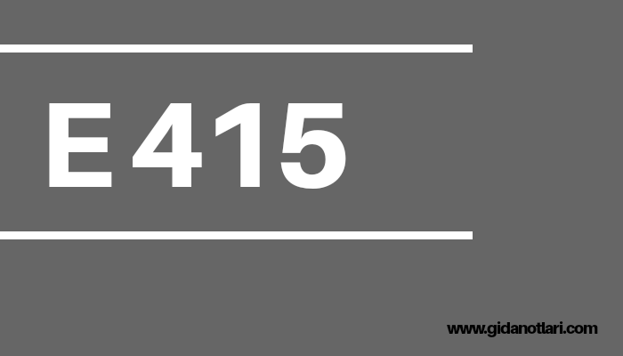 E415 nedir