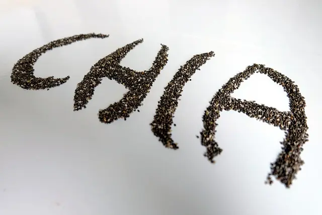 chia tohumu besin değeri nasıldır