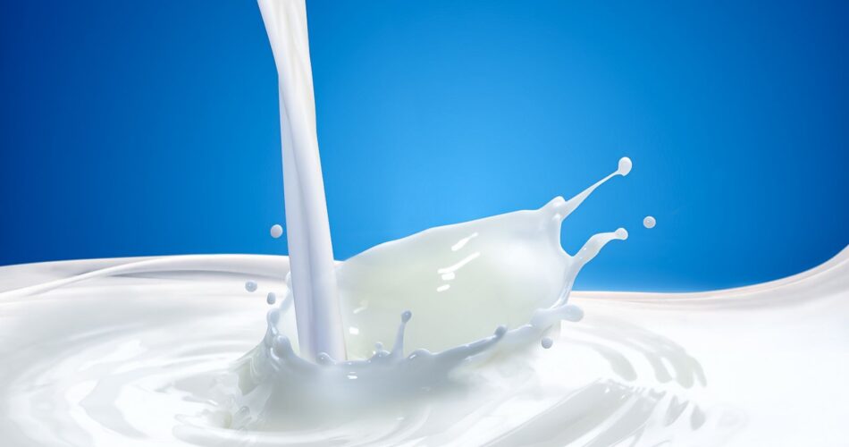 homojenizasyon işlemi