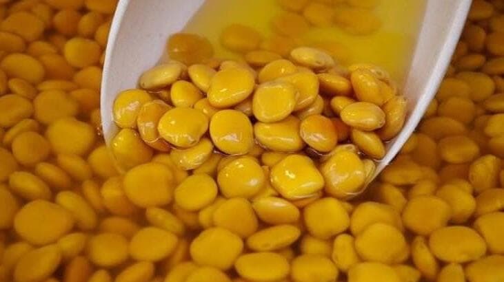 termiyenin faydaları