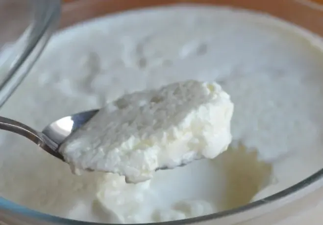 sünen yoğurt zararlı mı