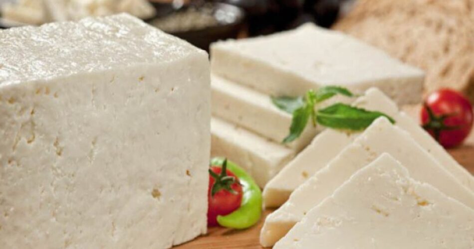 süt sektörü ve mühendislik