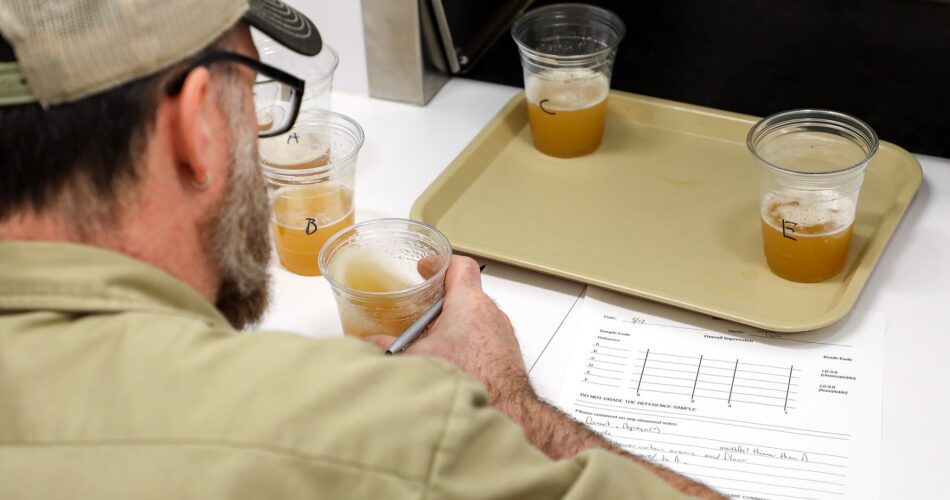 lezzet profili analizi