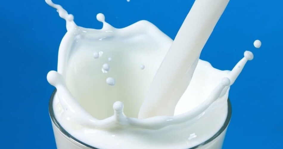 çiğ süt analizleri