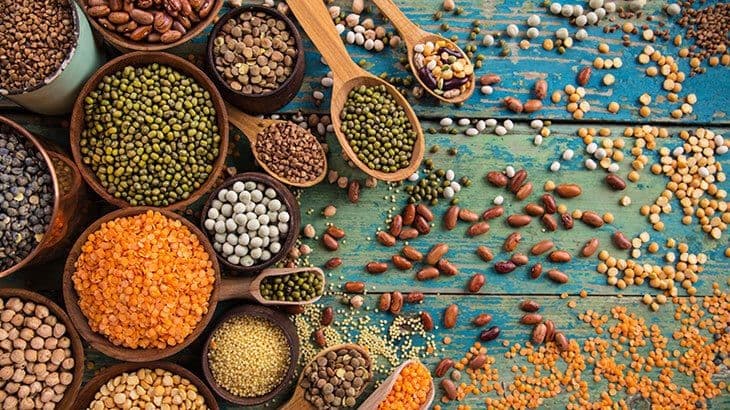 kuru baklagiller ve önemi