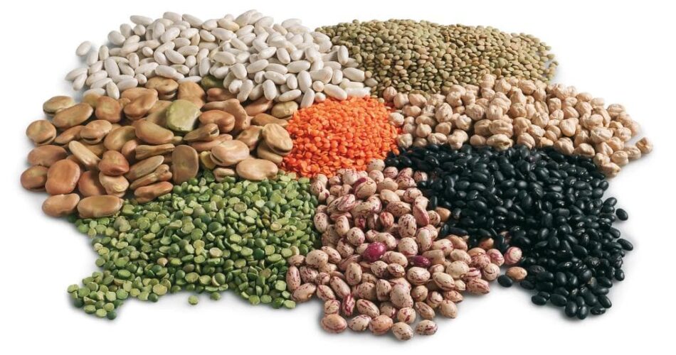 nem tayini neden yapılır