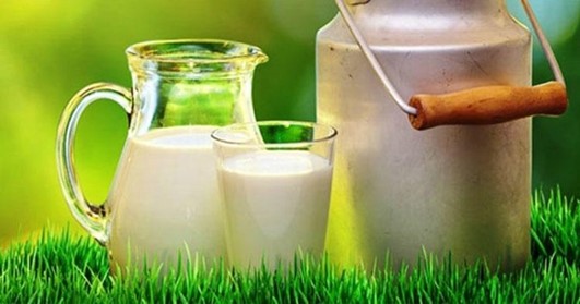 sütte peroksidaz testi nasıl yapılır