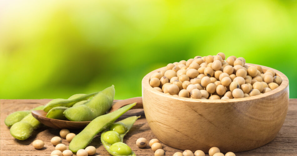 izoflavon ne işe yarar