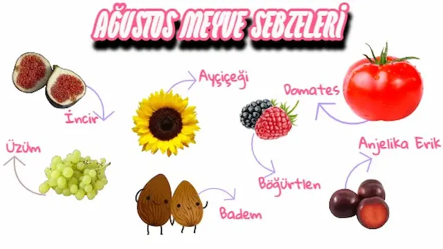 ağustos meyve ve sebzeleri