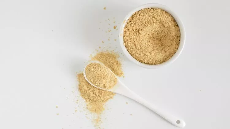 besin mayası ne işe yarar